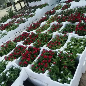 ظل واعمار للمقاولات العامة | تنسيق حدائق