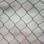 شبوك في جدة